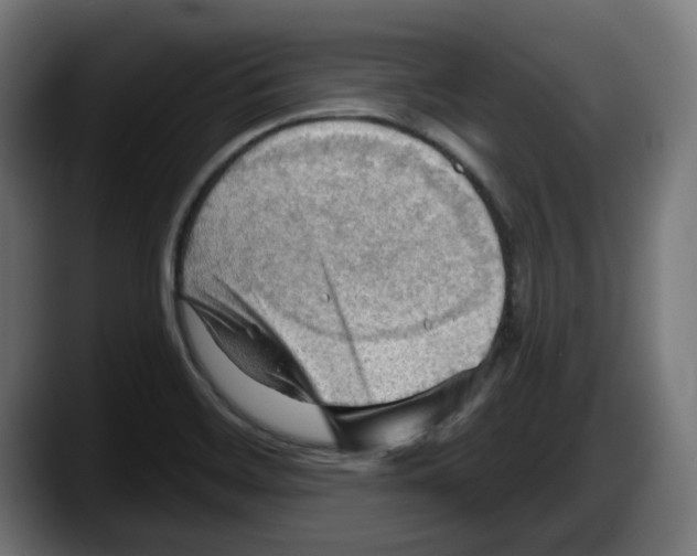 X0000087591468200705251851