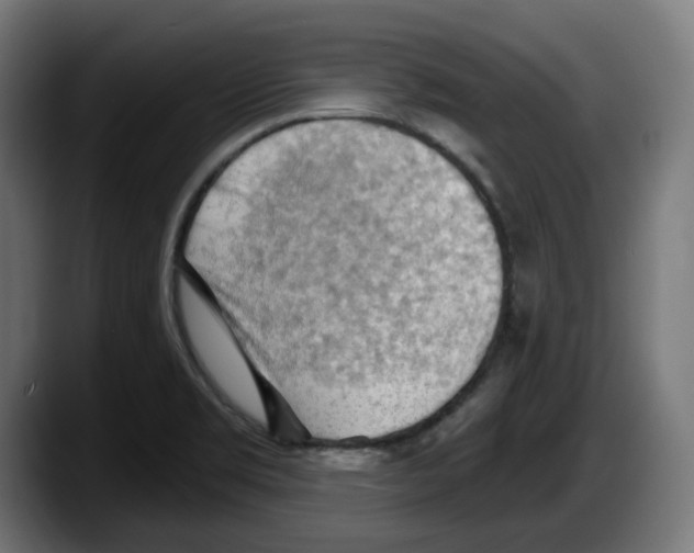 X0000087591469200705251851