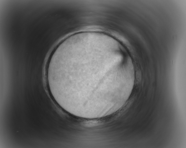 X0000087591470200705251851