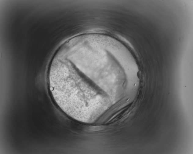 X0000087591471200705251851