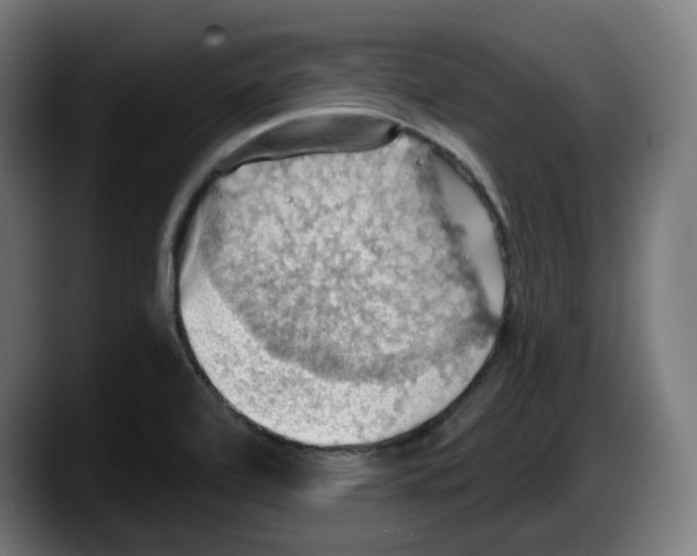 X0000087591472200705251851