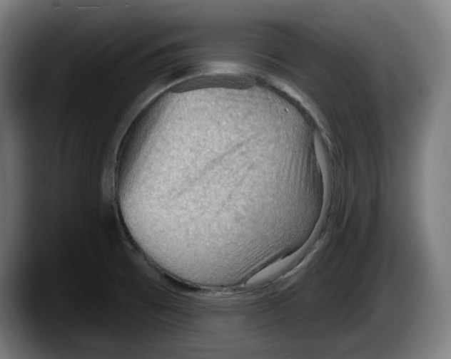 X0000087591473200705251851