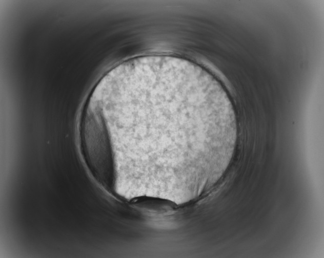 X0000087591475200705251851