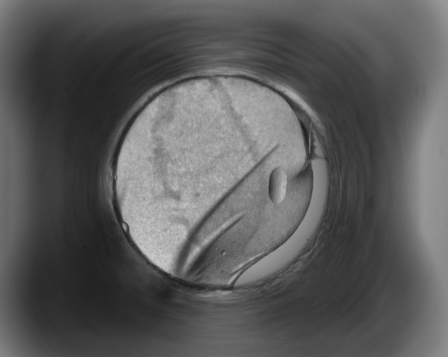 X0000087591476200705251851