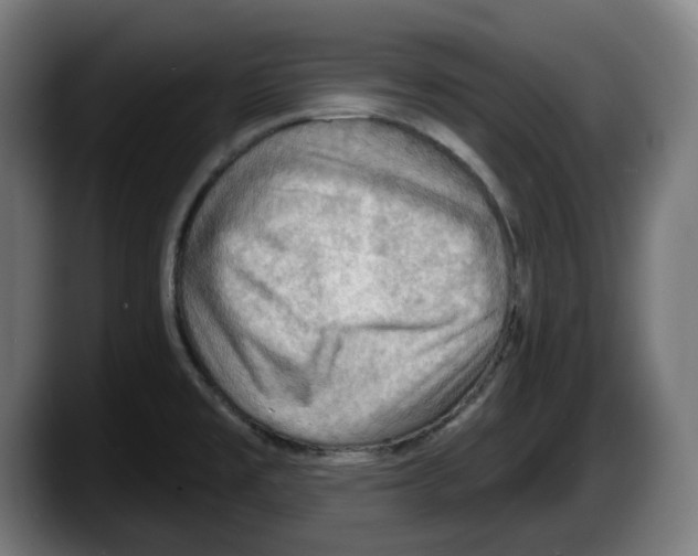 X0000087591477200705251851