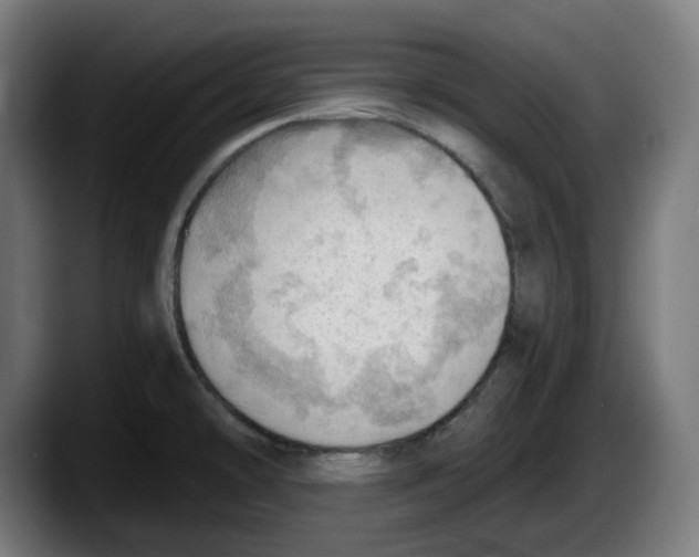 X0000087591478200705251851