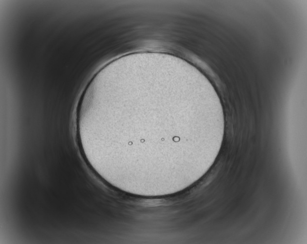 X0000087591479200705251851