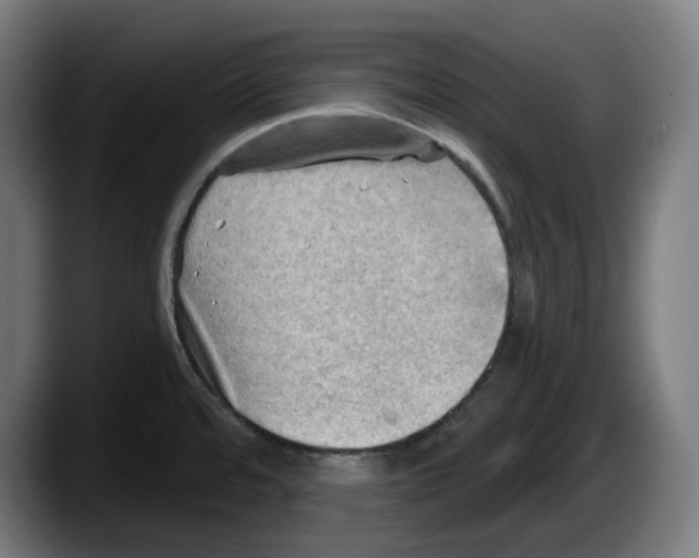 X0000087591480200705251851