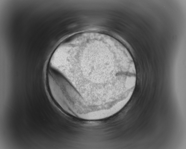 X0000087591483200705251851