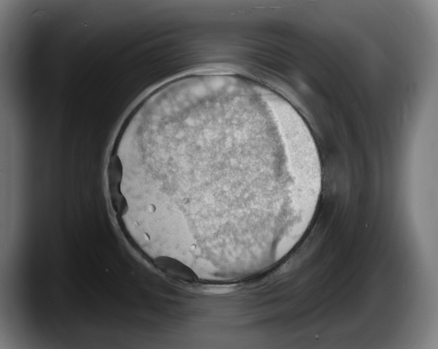 X0000087591484200705251851