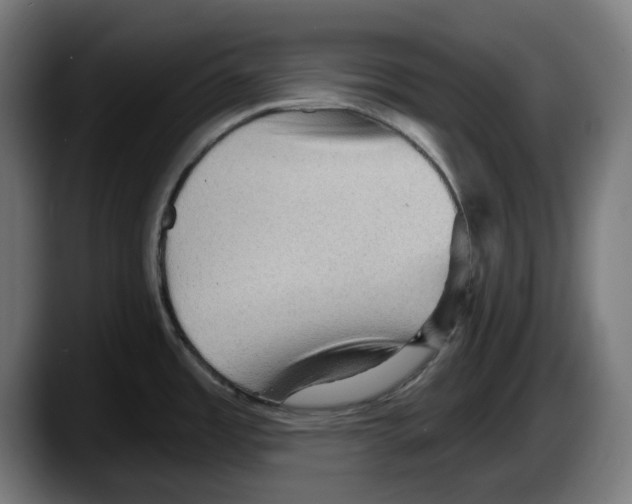 X0000087591485200705251851