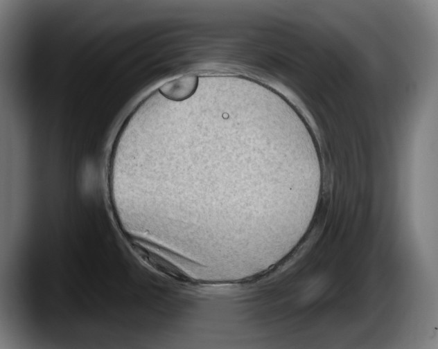 X0000087591486200705251851