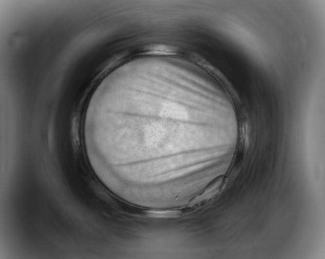 X0000087591487200705251851