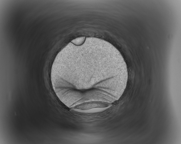 X0000087591489200705251851