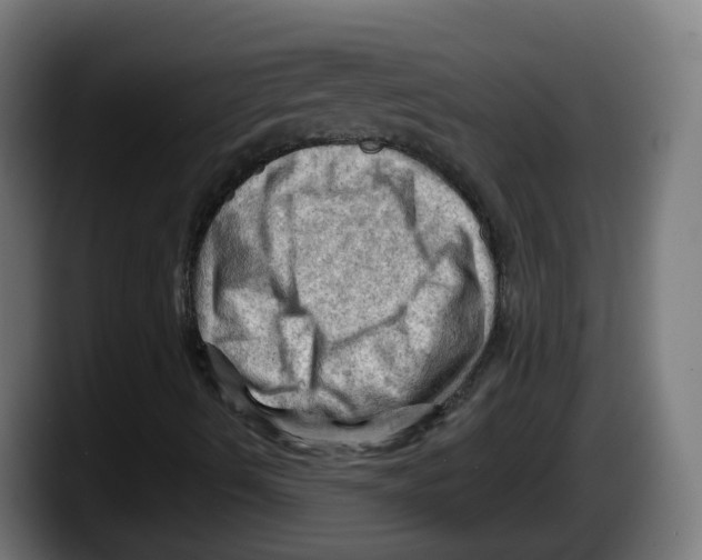 X0000087591490200705251851