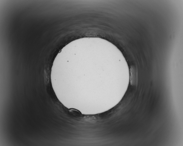 X0000087591491200705251851