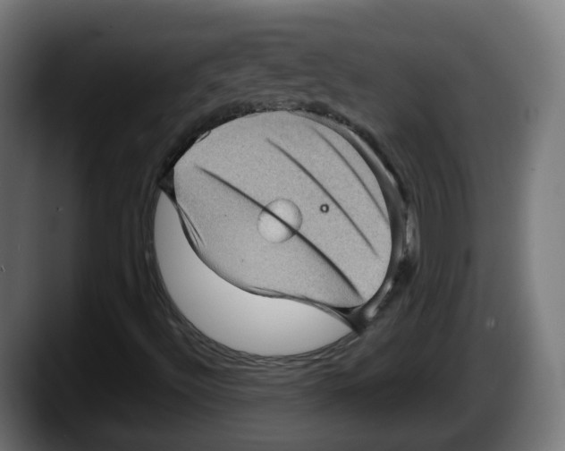 X0000087591492200705251851