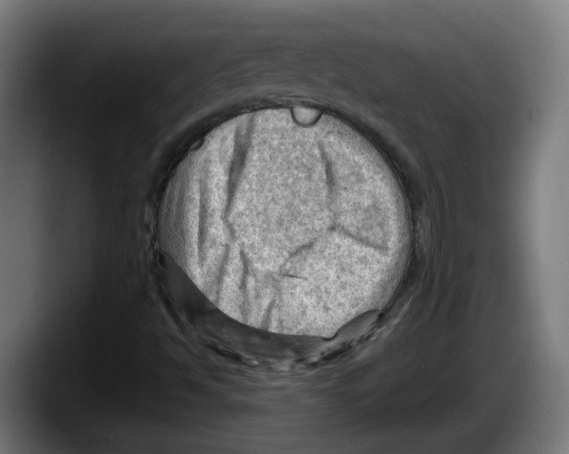 X0000087591494200705251851