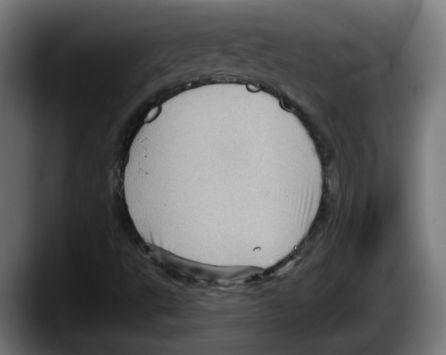 X0000087591495200705251851