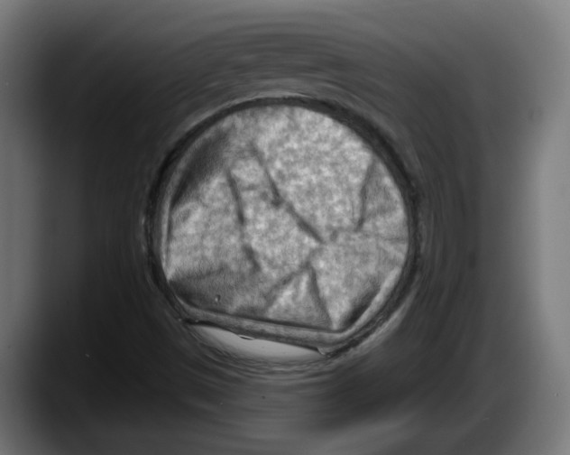 X0000087591497200705251851