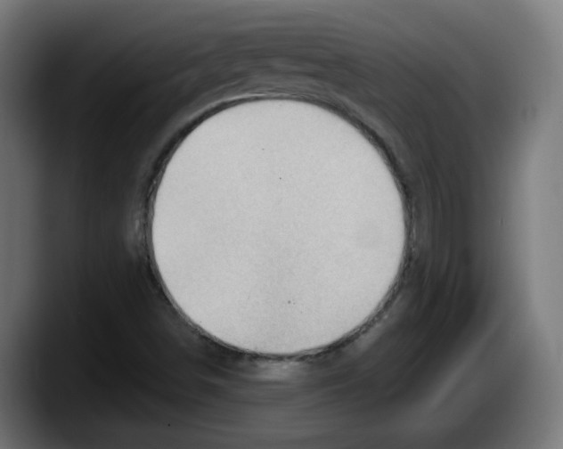 X0000087591498200705251851