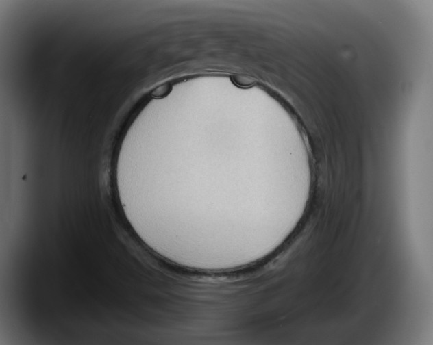 X0000087591499200705251851