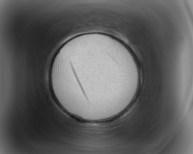 X0000087591500200705251851