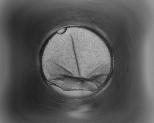 X0000087591501200705251851