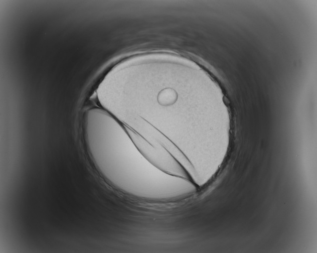 X0000087591502200705251851