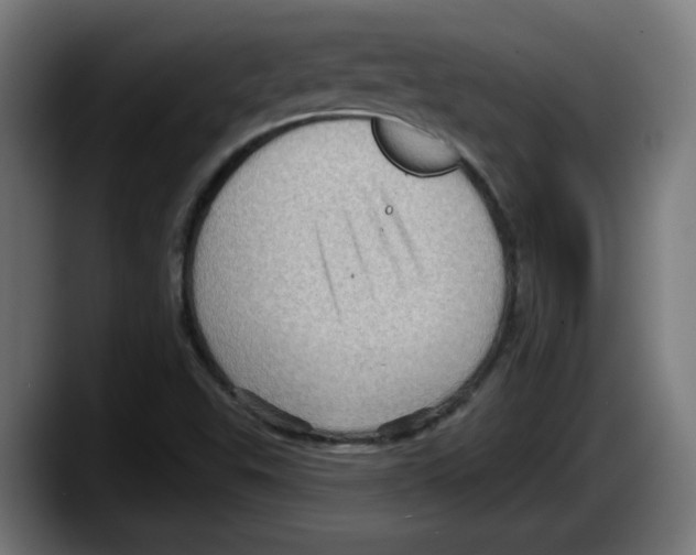 X0000087591503200705251851