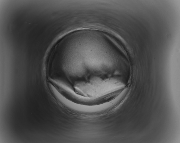 X0000087591506200705251851