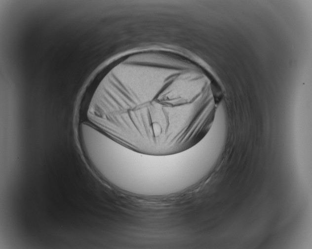 X0000087591508200705251851