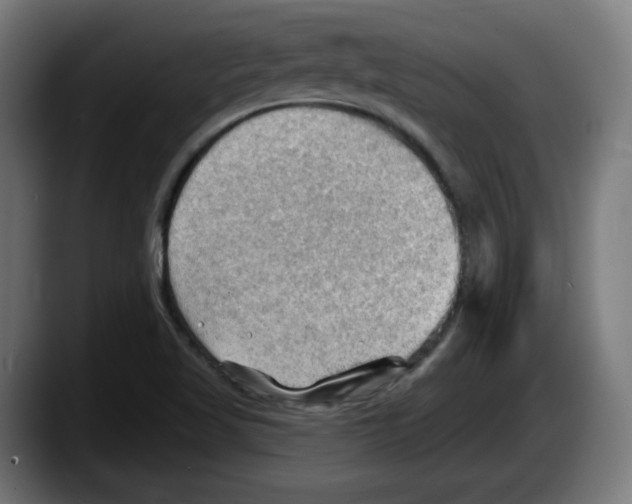 X0000087591509200705251851