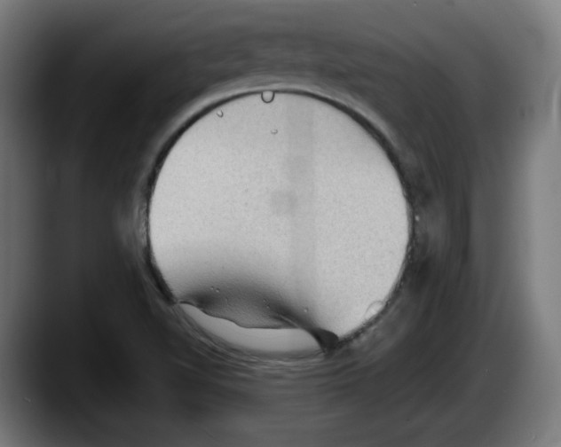 X0000087591510200705251851