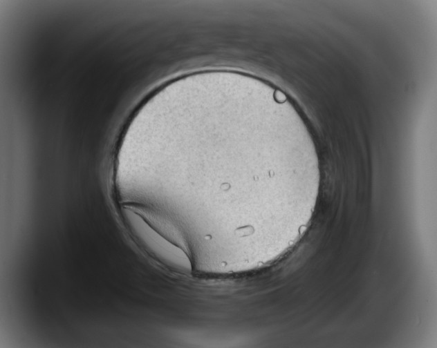 X0000087591511200705251851