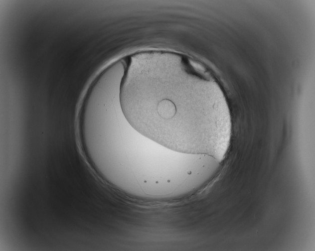 X0000087591514200705251851