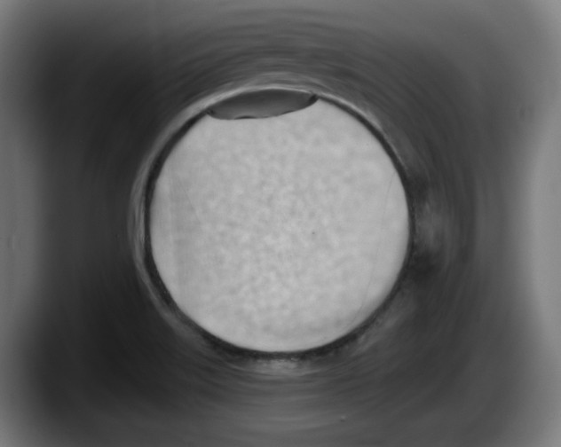 X0000087591515200705251851