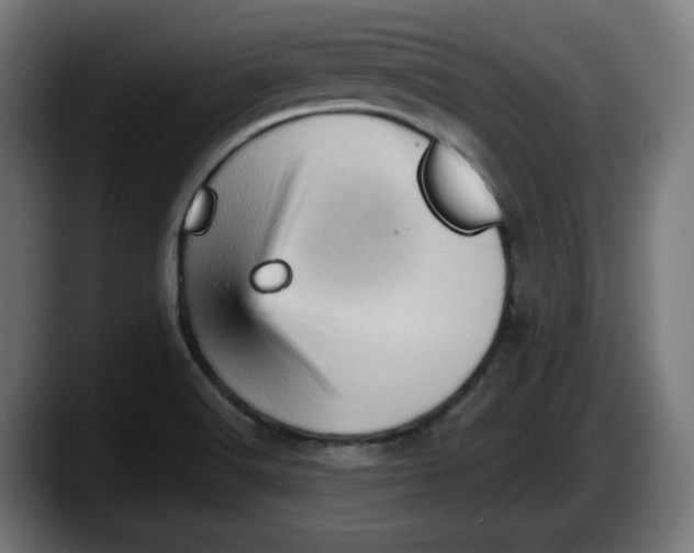 X0000087591516200705251851