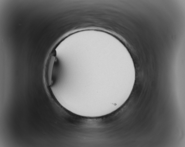 X0000087591518200705251851