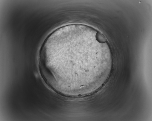 X0000087591519200705251851