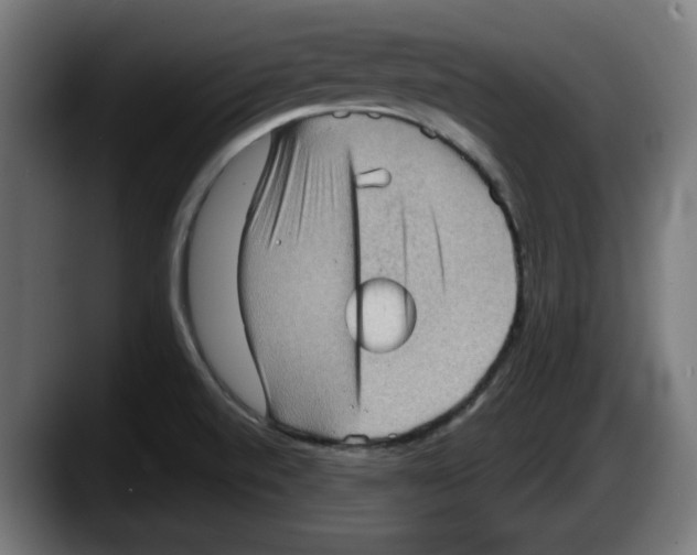 X0000087591520200705251851