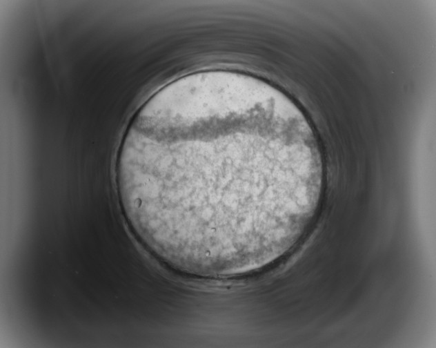 X0000087591521200705251851