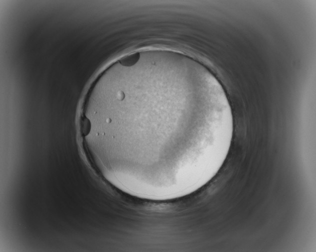 X0000087591522200705251851