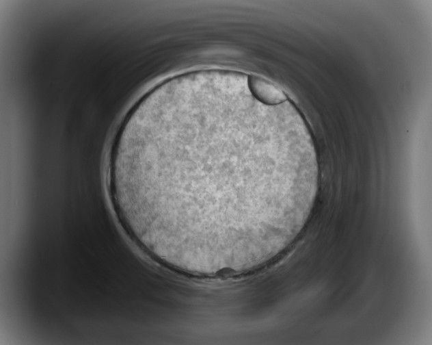 X0000087591523200705251851