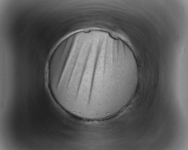 X0000087591524200705251851