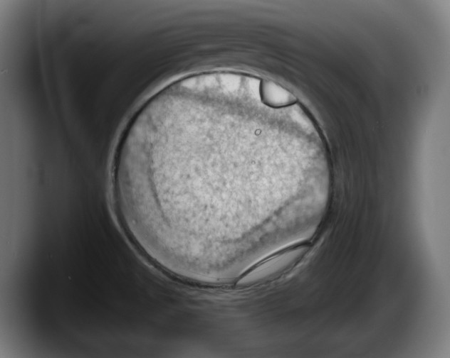 X0000087591525200705251851