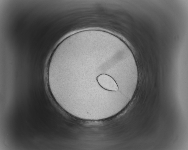 X0000087591526200705251851