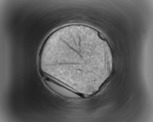 X0000087591527200705251851