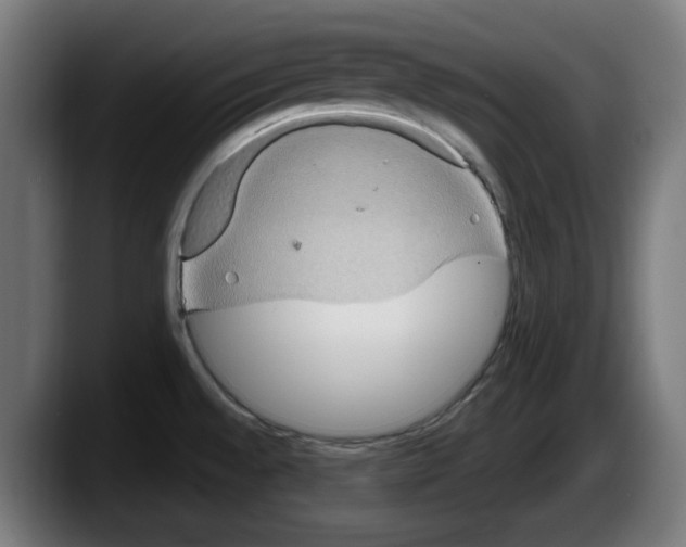 X0000087591528200705251851