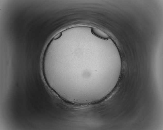 X0000087591530200705251851